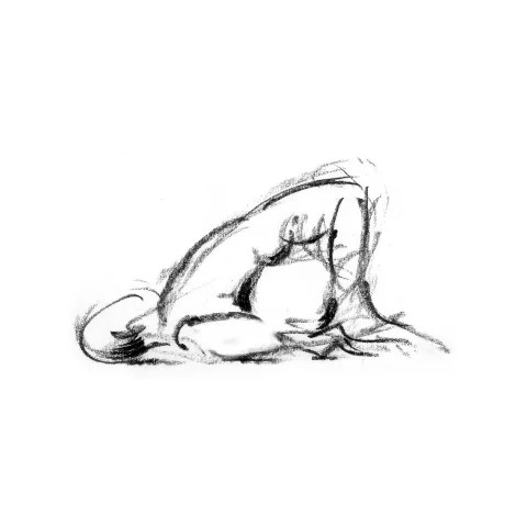 yin yoga