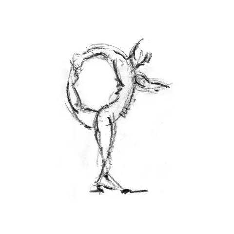 vinyasa yoga